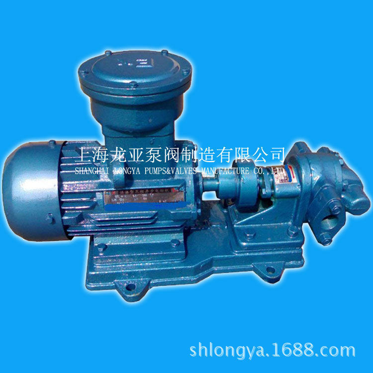 供应YCB-G40-0.6齿轮泵头 三相440V-60HZ齿轮式油泵