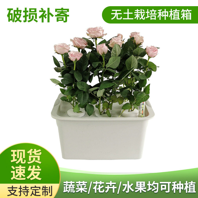 无土栽培设备阳台实验种植箱 6棵植物增氧型菜园花园种植箱