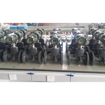 智天能旋漩涡流量计 气体流量计 旋进漩流涡流量计 然进气ALP量计