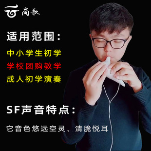 极速12孔SfF陶笛十二孔高音F调sf学生初学入门成人专业演奏小指孔