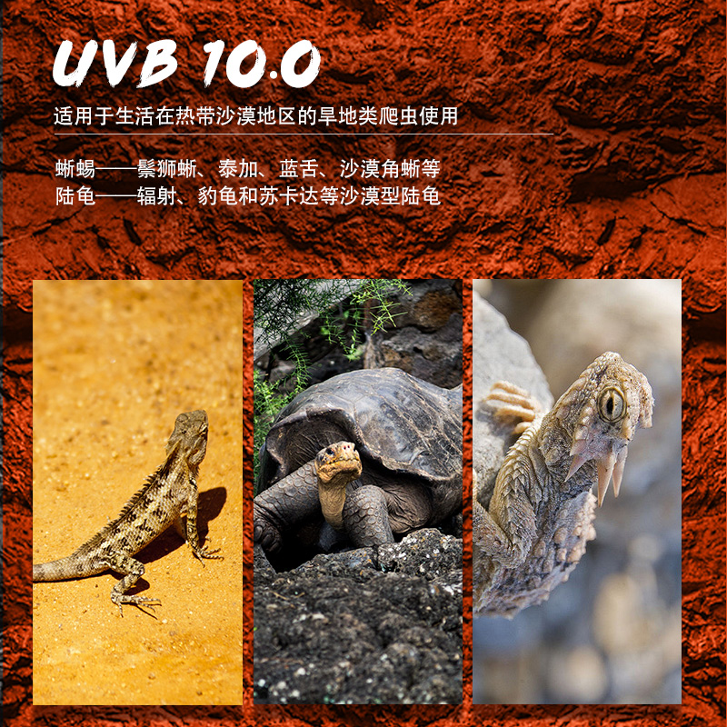 极速爬虫uvb灯管变色龙蜥蜴爬宠饲养箱补D钙晒背UVB灯10.0 5.0紫