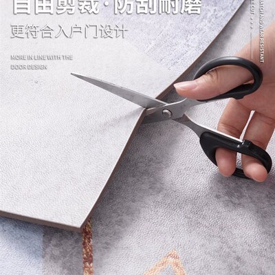 极速Entry door hallway fsloor mat yentrance door mat eZrasab