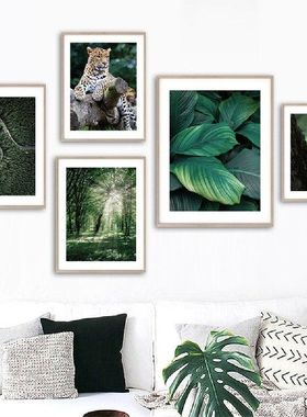 极速Banyan Monstera Elephant Leopard Forest Wall Art ZCanvas