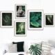 Monstera Wall Elephant 极速Banyan Leopard Forest Art ZCanvas