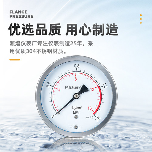 新品YTP100ML 304q不锈钢螺纹隔膜法兰压力表 膜片DN25DN50四氟指