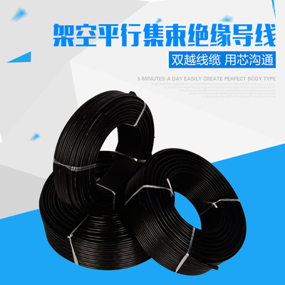 极速国标铝芯电线电缆 2芯16平方 架空线 双芯平行防老V化铝线BS3