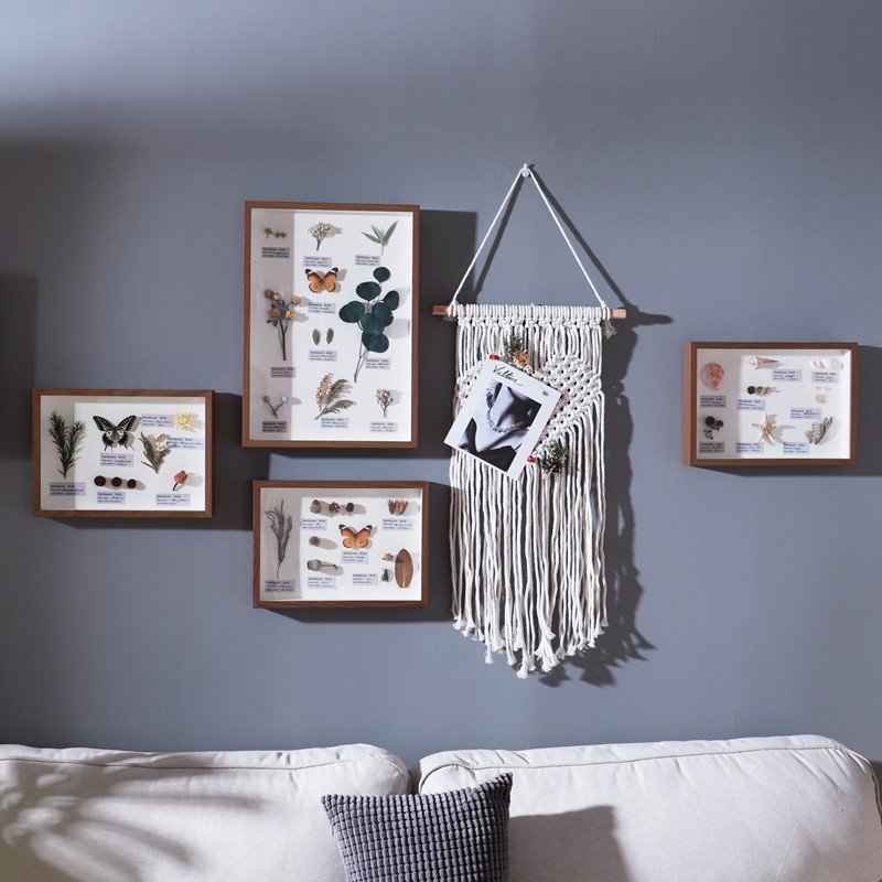 标本植物果实树叶昆虫蝴蝶复古相框餐厅墙面挂画沙发背景墙壁画,家居饰品,相框/画框,淘宝优惠券,粉丝福利购,淘宝优惠卷