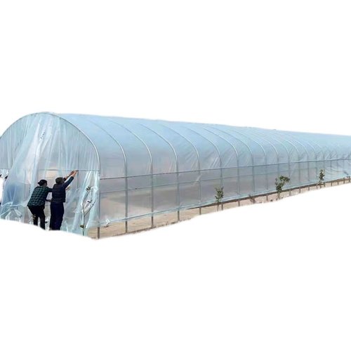 极速促养殖大棚钢管骨架椭圆管钢架温室大棚养P猪养羊养鸡场鸡舍