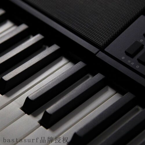 极速Hot selling 73 key electronic organ 1L10cm 2.2 standard