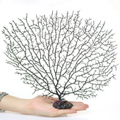 新品 饰摆件海底世 仿真海铁树珊瑚树枝黑色红色鱼D缸造景水族箱装