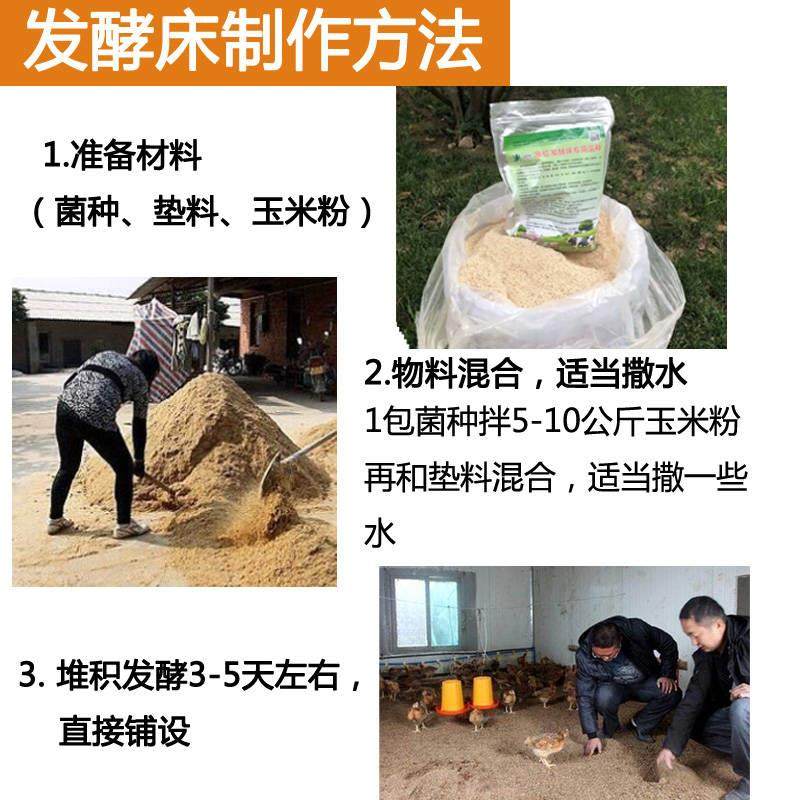 极速鸡舍菌种畜牧用n阳台垫料无臭养鸭鹌鹑养殖场鸡床发酵粉干撒,畜牧/养殖物资,饲料添加剂,淘宝优惠券,粉丝福利购,淘宝优惠卷