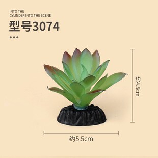 新品爬宠饲养箱造l景仿真水草植物热带沙漠生态雨林装饰鱼缸绿植