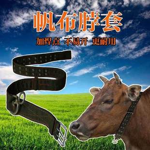 极速牛龙套牛脖套羊犬狗s项圈颈脖子笼头绳拴牛用的皮带养牛场特