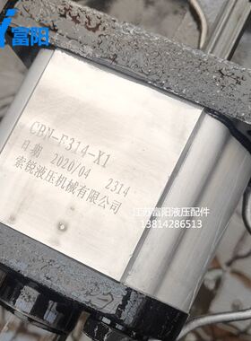 极速。齿轮泵 液压油泵CBN-F310L CByN-F306L CBN-F320L F314L CB