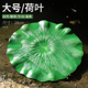 新品 饰摆件创意y仿真荷花莲花圆缸花盆户外漂浮池 鱼池造景庭院装