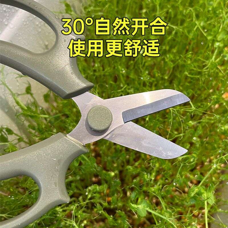 园艺剪刀修花修枝家用剪花草果树采摘菜花艺师插花专用小剪子工具图片