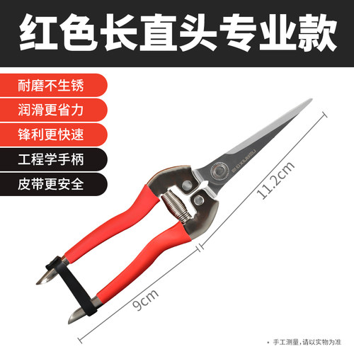 摘果剪葡萄疏果专用剪刀果树梳果稀果采果剪长嘴盆景月季花修枝剪