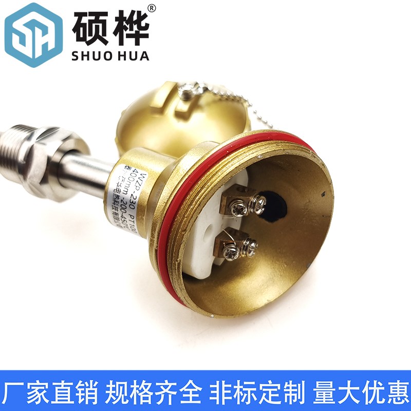 WZP-230g温度感测器 PT100不锈钢热电阻 铂热电阻 固定螺纹热电偶