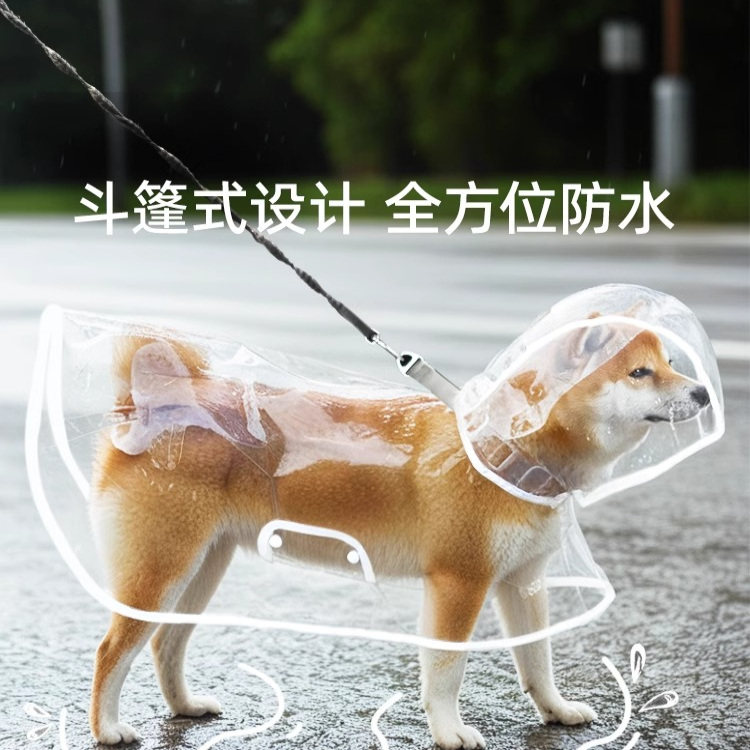 狗狗雨衣斗篷护肚泰迪专用小中型犬柴犬小狗透明雨披防水宠物衣服