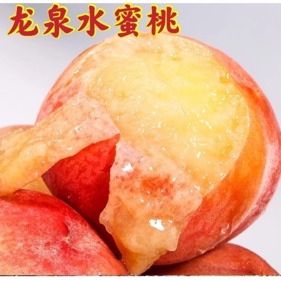 【果园现摘】水蜜桃新鲜桃子当季水果水蜜桃脆桃整箱