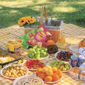 Blanket Pads Camping Beach Picnic 极速Outdoor Plaid Thicken