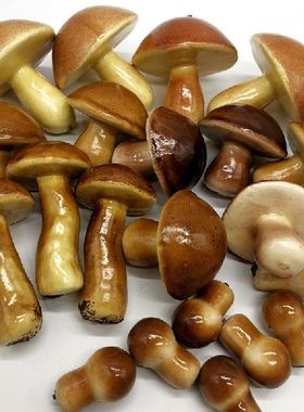 极速20pcs Artificial Mushroom Mould Mold 5 TypesV Mushroom