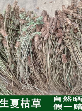 野生夏枯球整株夏枯草球批发天然新鲜夏姑球草食用500g白毛夏桔草