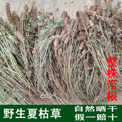 夏枯草中药材【超8.8万人加购】