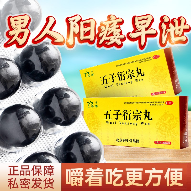 【名草】五子衍宗丸9g*10丸/盒