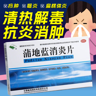 岷州蒲地蓝消炎片24片XH消肿清热解毒扁导体发炎咽炎咳嗽口鼻干燥