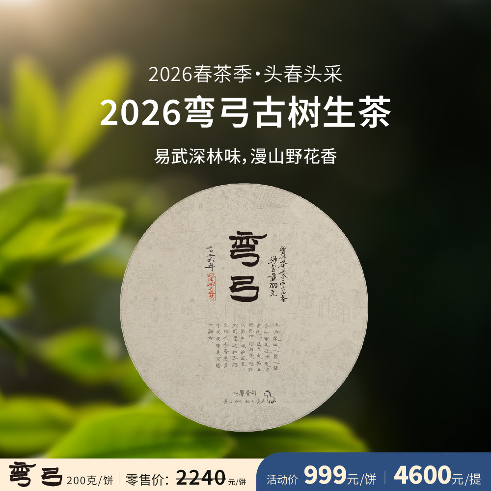 入界 2026春茶 弯弓生茶 茶叶进化论 头春头采 古树生茶 普洱茶饼