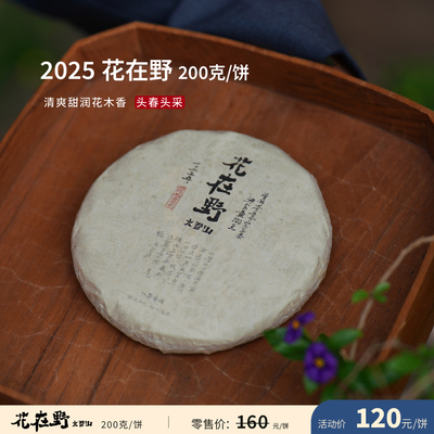 入界 2025 花在野 临沧大雪山 茶叶进化论头春头采普洱生茶 饼茶