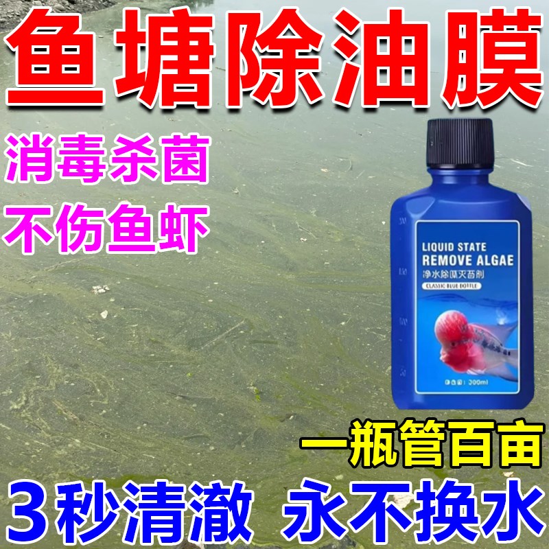 速发鱼塘净水去池塘变改发绿浑浊变清池清消毒除铁锈剂碱藻净水药