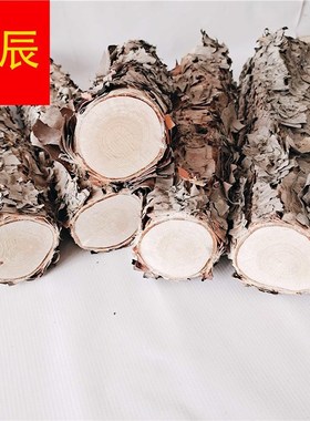 极速桦木铁桦桦木原木铁原v桦木树装饰树隔断橱窗隔断铁湿木料新