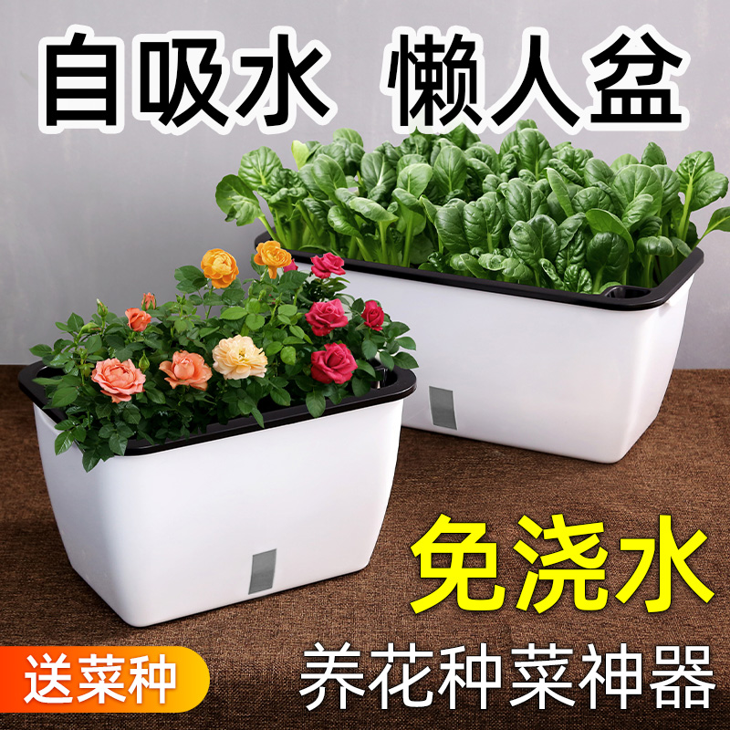 速发自动吸水盆懒人盆种菜神器家庭台1方植塑料种形箱花盆202长新