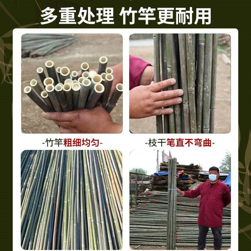 极速小竹子细竹竿爬藤架竹竿菜园搭架蔬菜黄N瓜番茄豆角架杆竹篱