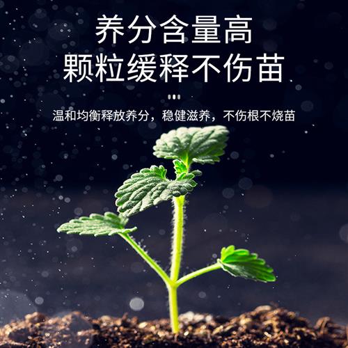 极速懂肉肉园艺甄选家庭养花w种菜绿植通用控释肥颗粒植物持久壮