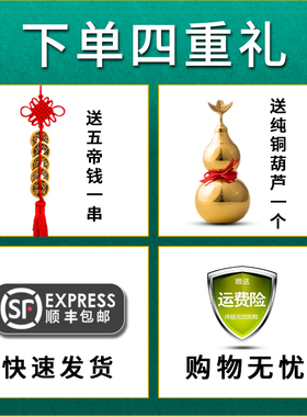 新品纯黄铜金色摇钱树客厅桌面招财植物K风水摆件发财树聚宝树开