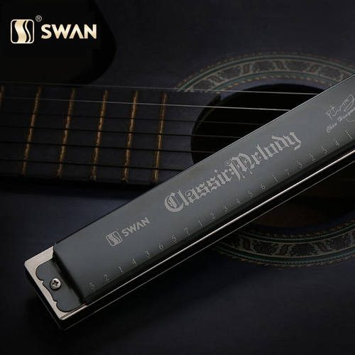 极速天鹅口c琴24孔复音初学者儿童成人入门乐器亮光黑【自学礼包+