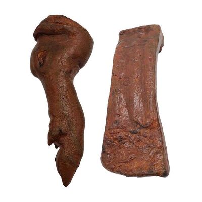 极速Fake Arftificial pigs Feet Legs Shop Decoration Pretend