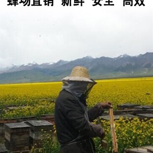 速发油菜花粉养蜂喂蜂包邮天然蜂用颗粒花粉蜜蜂饲料中蜂专用养蜂