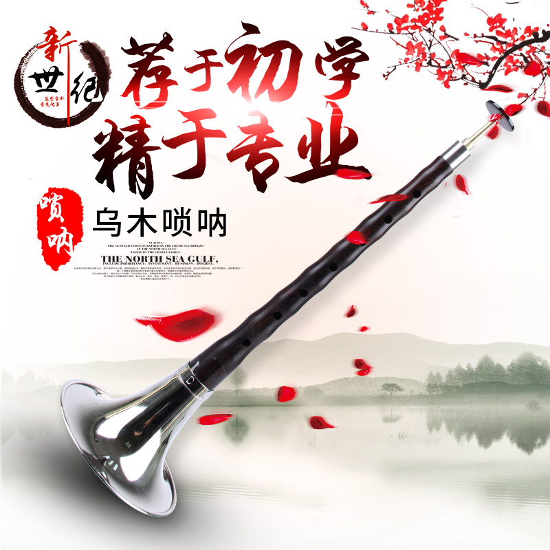 唢呐乐器初学者成人专业演奏厂家直销精品a调降b调c调d调乌木唢呐