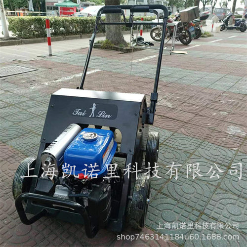 台林M.GREEN PL410/4 手推式垂直打孔机  草坪汽油打孔园林机械