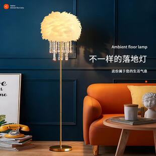 羽毛落地灯水晶置物茶几客厅卧室床头沙发旁轻奢北欧奶油风立式灯