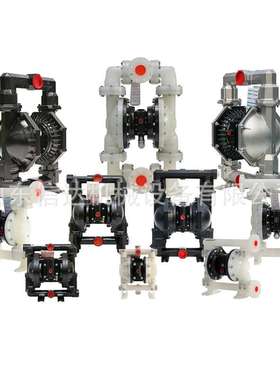 BQG100-PP塑料隔膜泵抽污排污泵气动隔膜泵BQG1350/0.1QZS型号齐