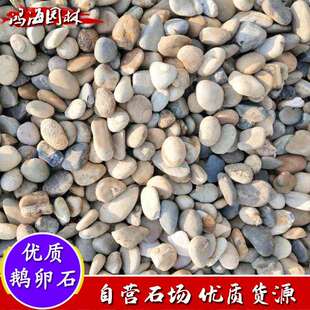 天然鹅卵石园艺盆栽铺面石园林铺路石水洗鹅卵石河冲石鹅卵石