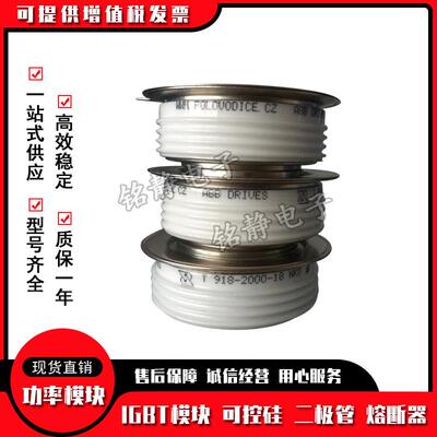 T589N12TOFT589N14TOFT589N16TOFT589N18TOF平板晶闸管