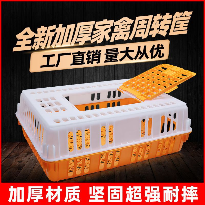 大号加厚塑料家禽运输笼坚固
