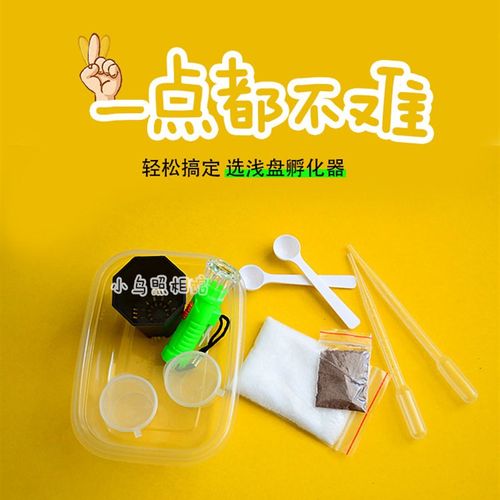 极速浅盘孵化器简l易丰年虾卵孵化盒不打氧大红卵超细卵孔雀斗鱼