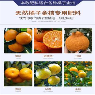 极速金桔b树肥料金桔专用肥桔子树柑桔肥料营养液橘子树复合肥盆